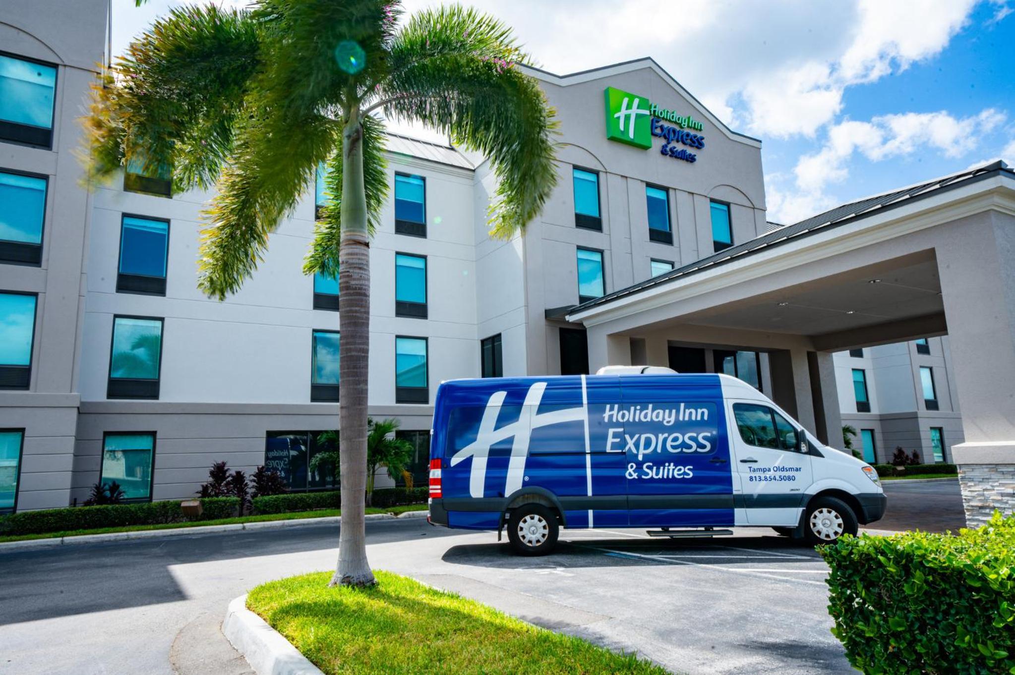 Hotel Holiday Inn Express & Suites Tampa Northwest-oldsmar By Ihg