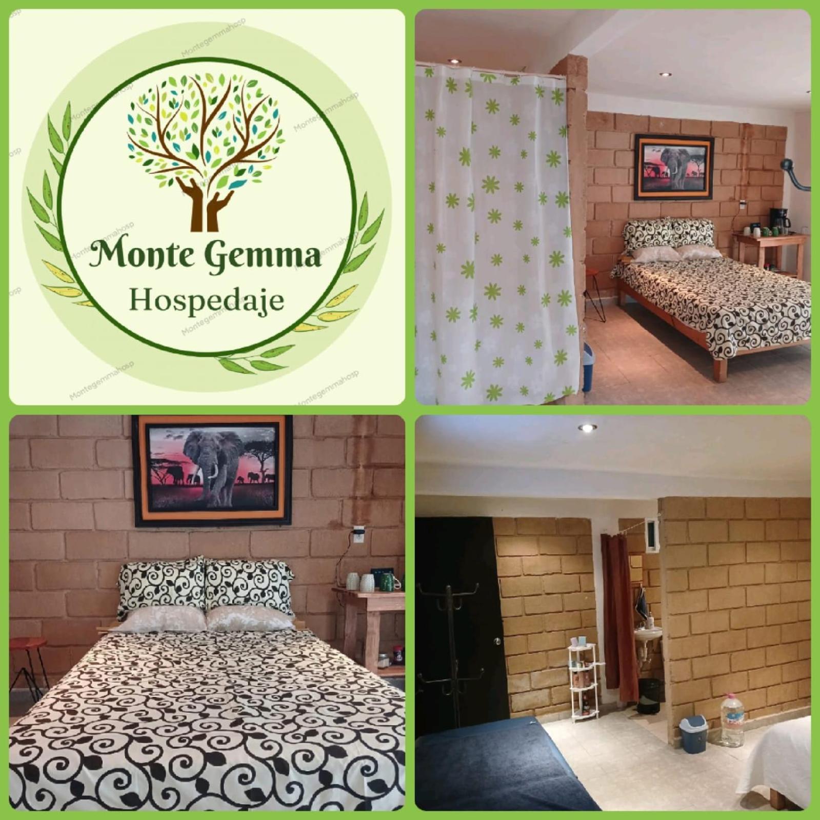 MonteGemma Hospedaje