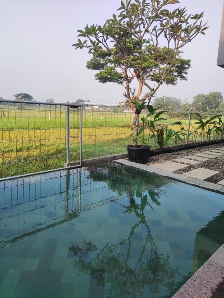 SakaLoka Cottages