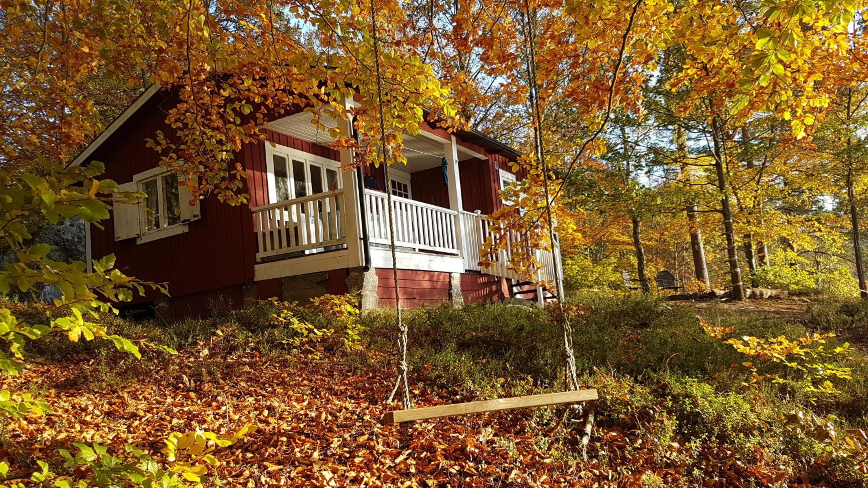 Långasjönäs Camping & Stugby