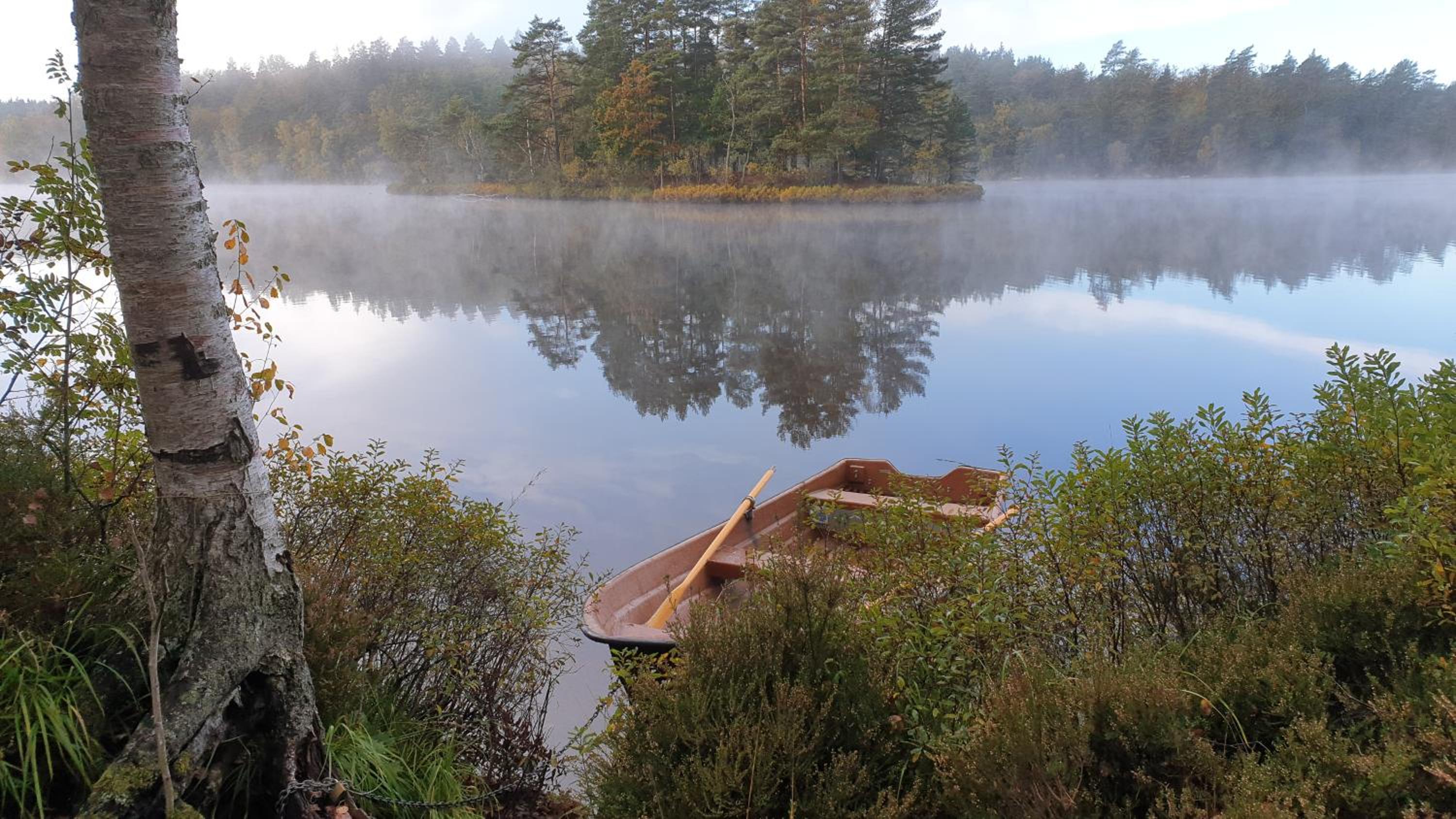 Långasjönäs Camping & Stugby