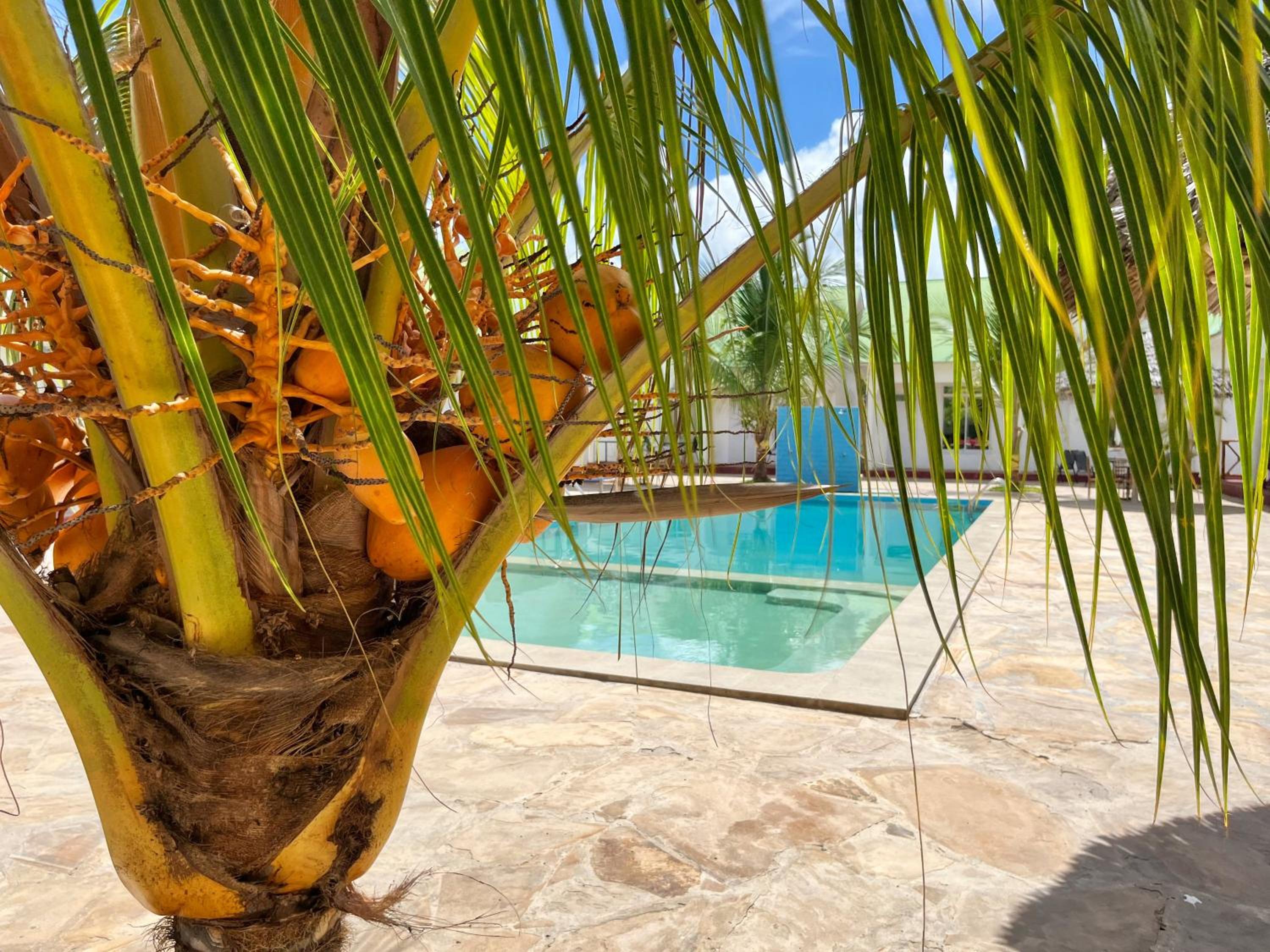 Sunrise Villas, fotografía 4