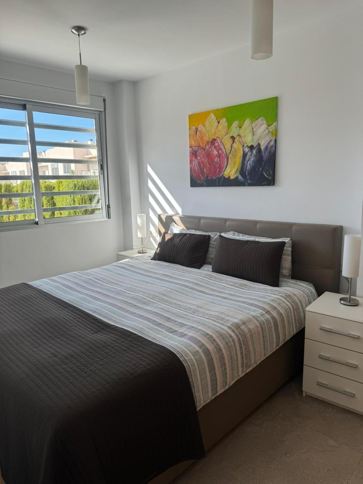 Apartement BR2 Aguas Nuevas Torrevieja view 5