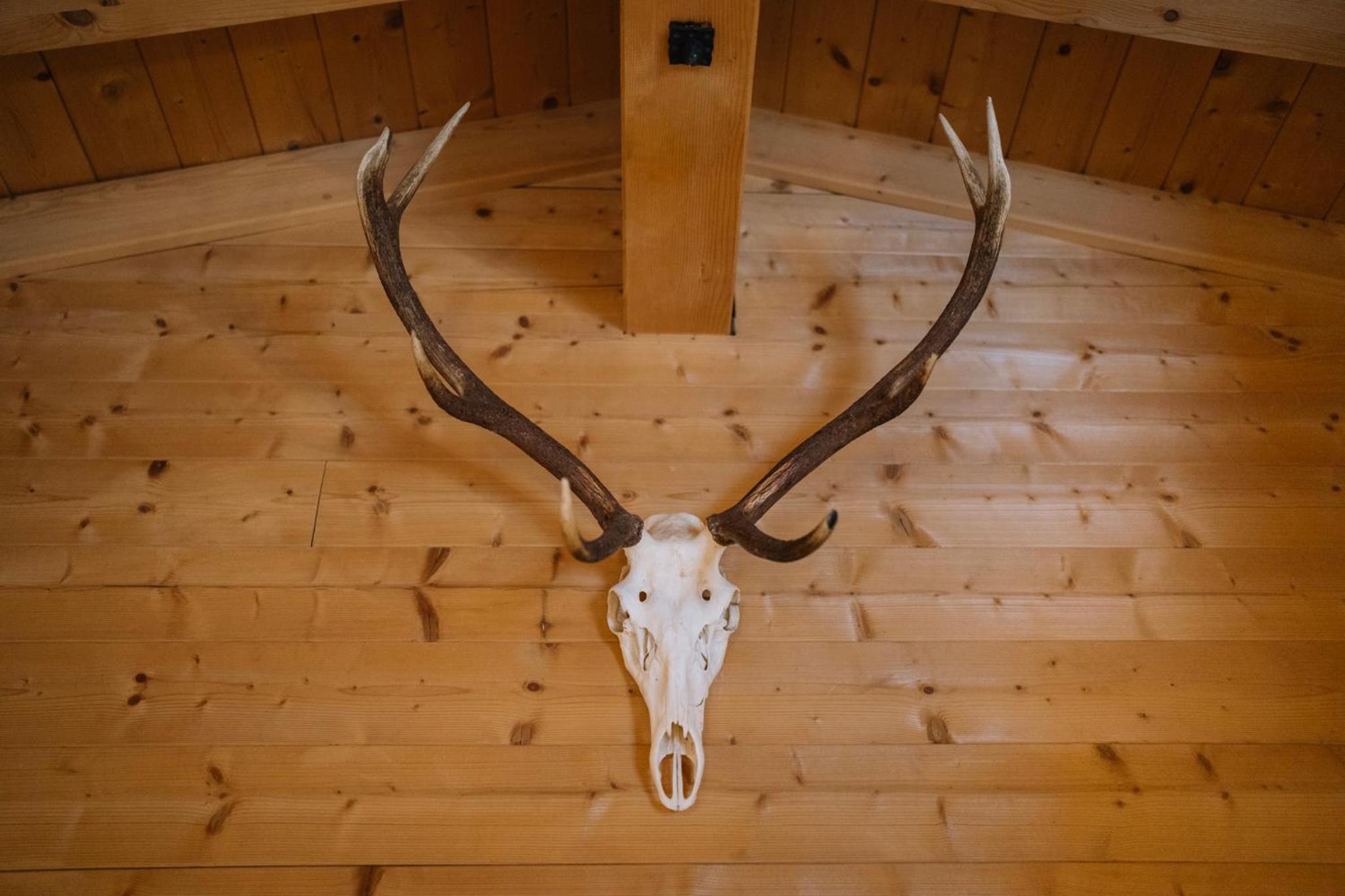 Steinnock Chalet
