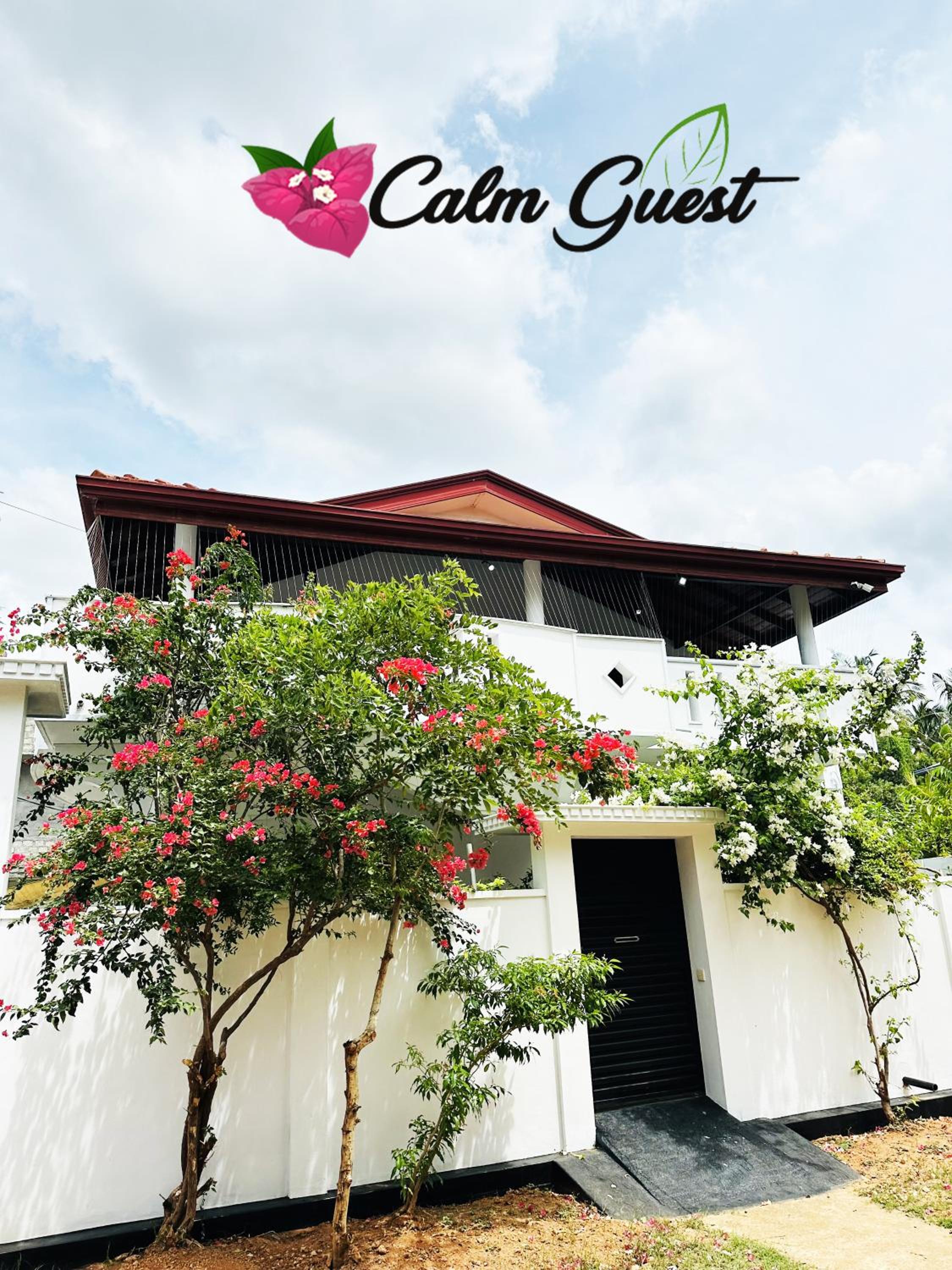Calm Guest