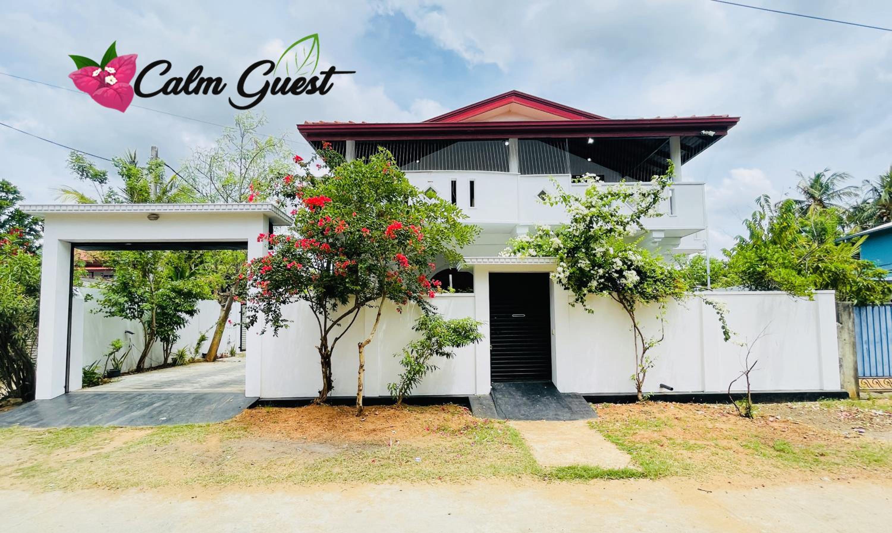 Calm Guest