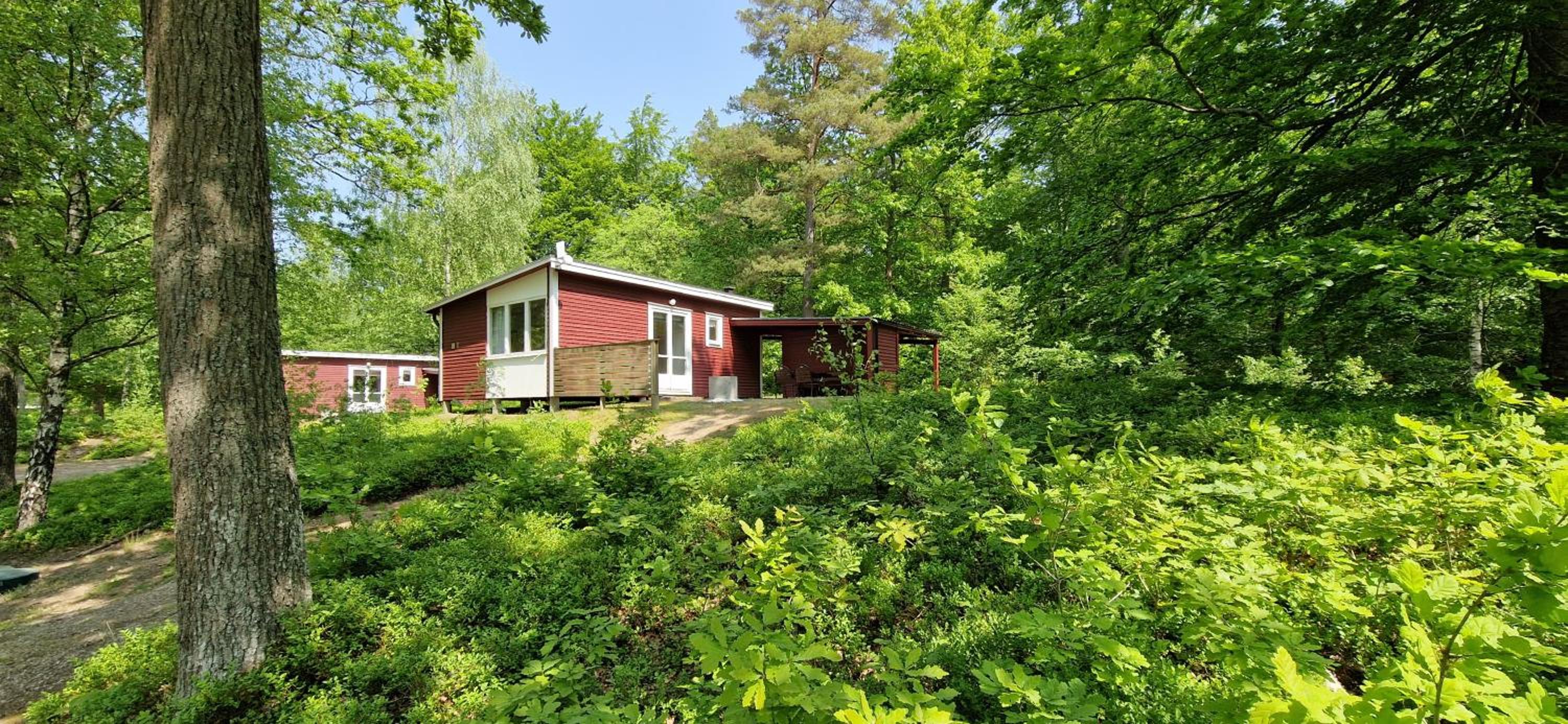 Långasjönäs Camping & Stugby