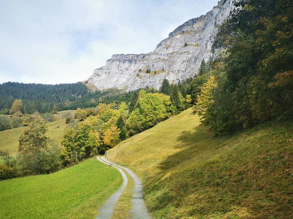 10min zu den Bergbahnen Tiefgarage & Wifi inkl. Bergsicht & Ruhe