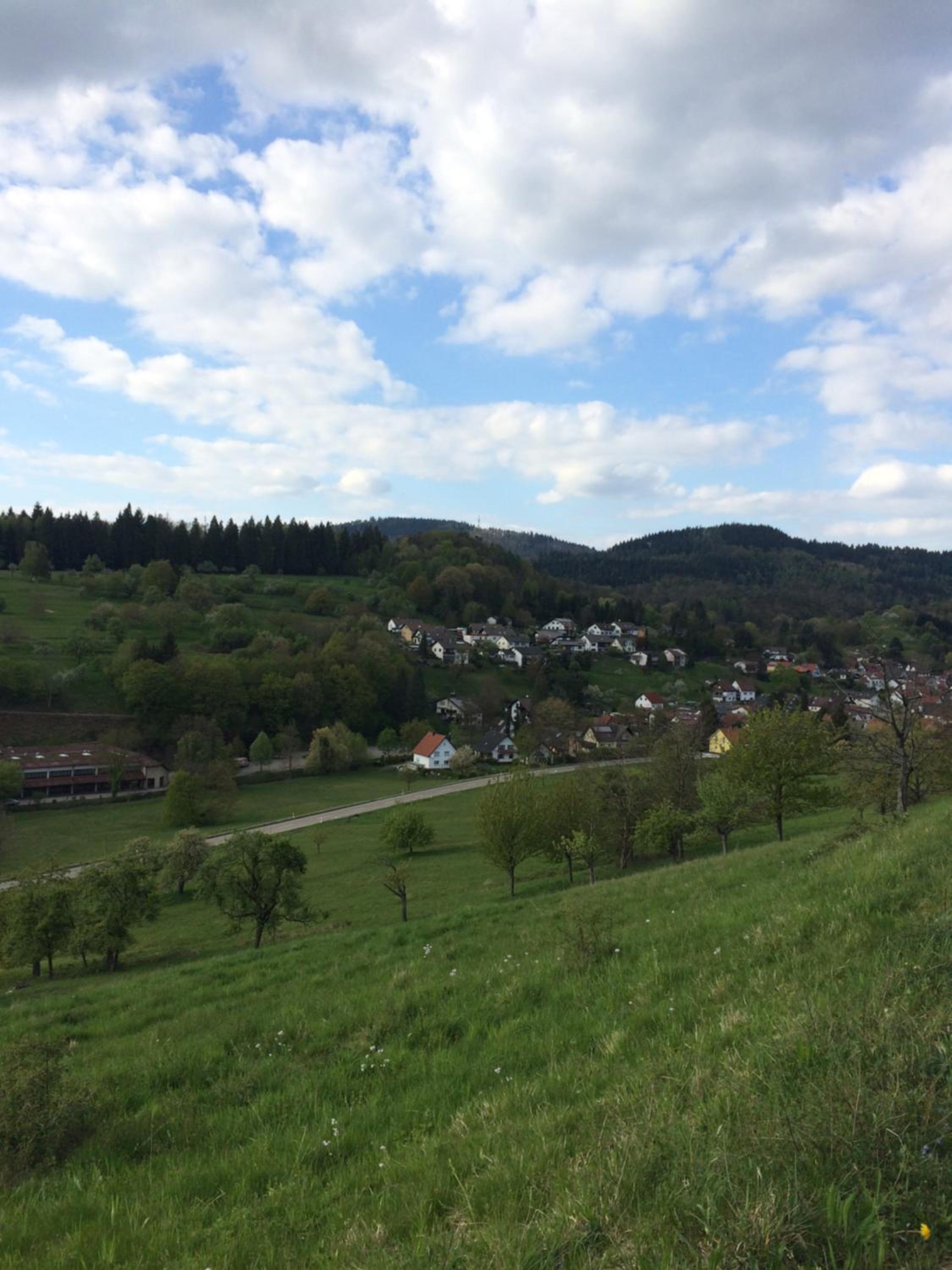 Ferienwohnung Brack in Gaggenau, Schwarzwald