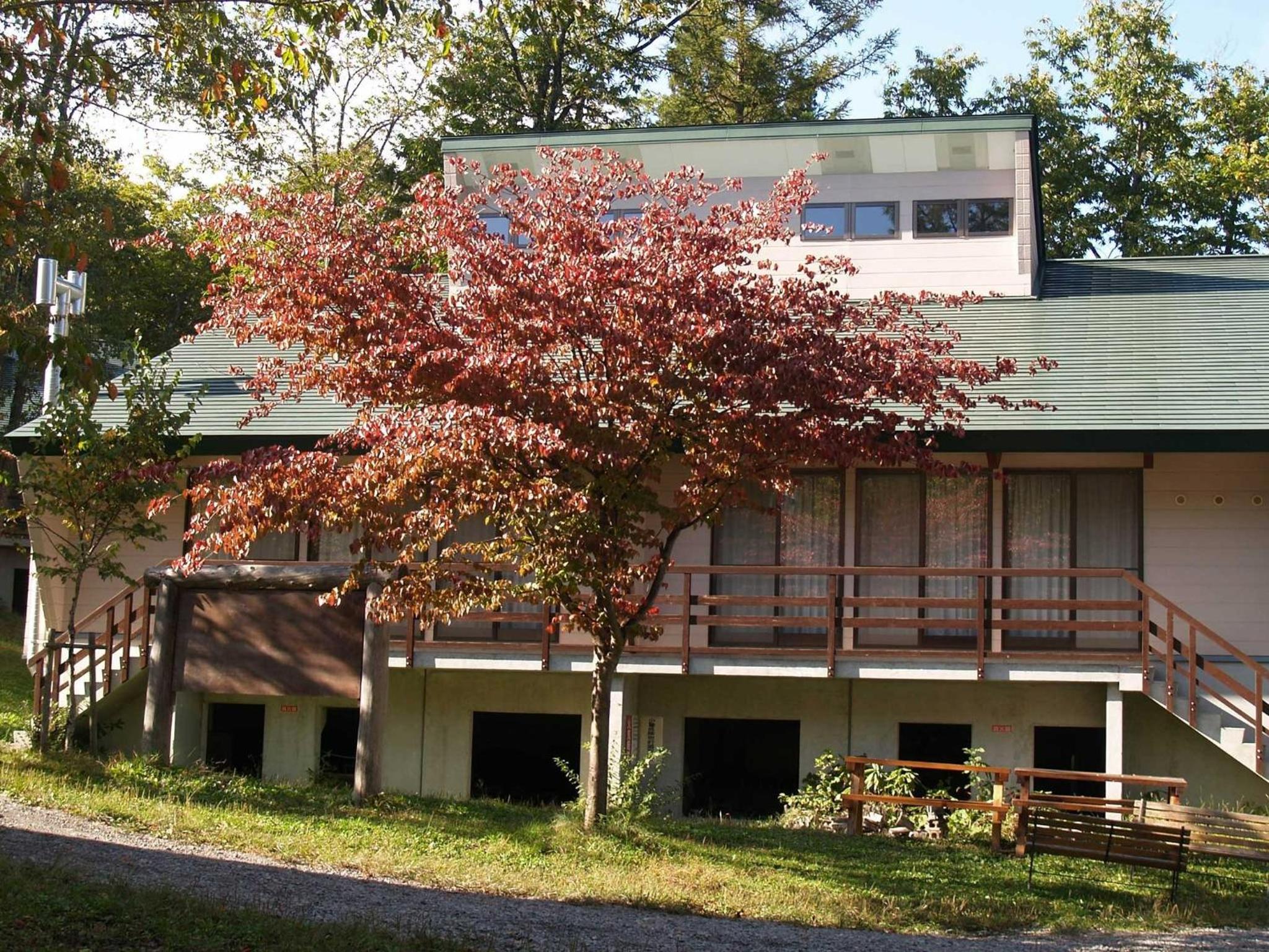 Photo 11