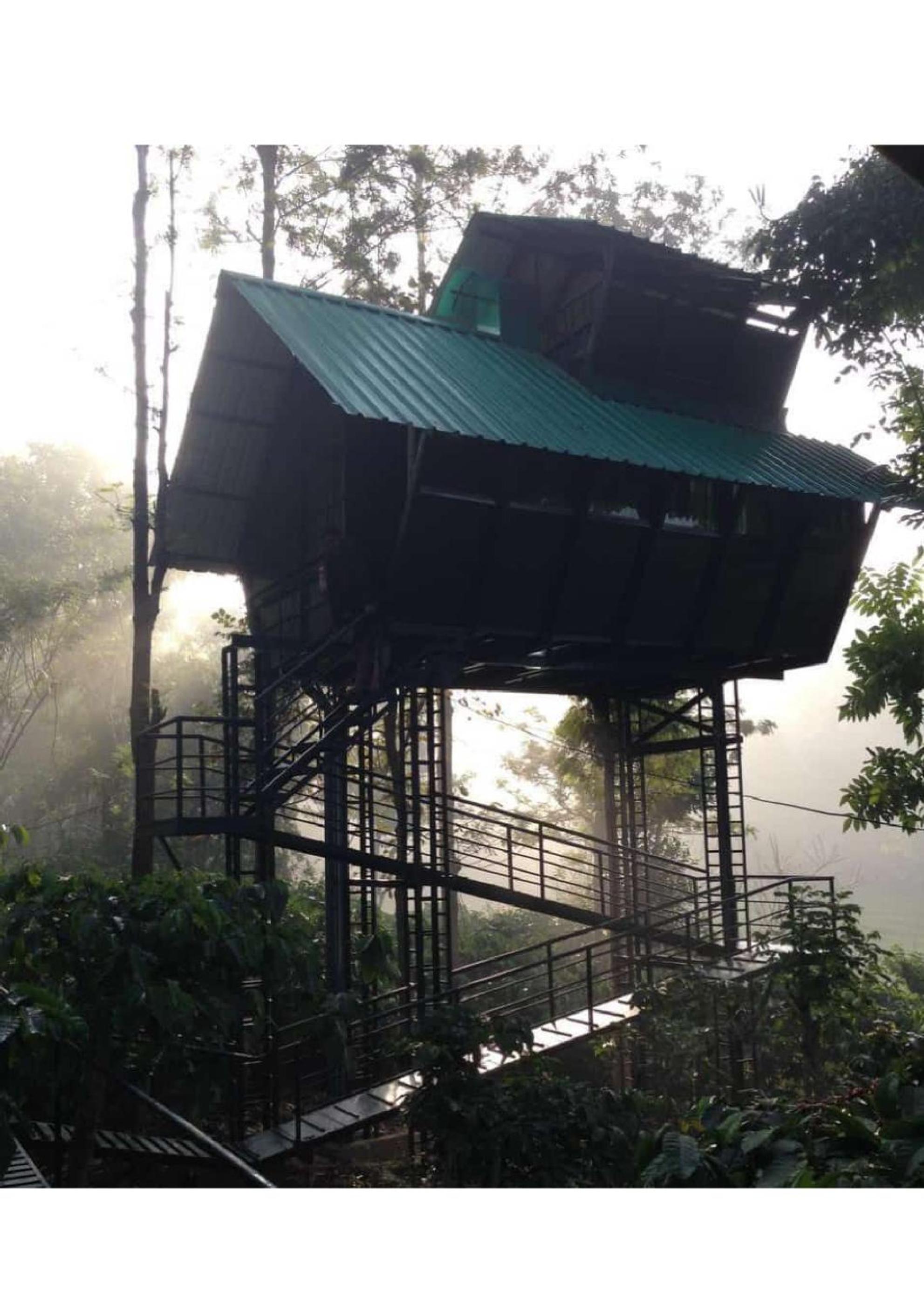 Tree House Wayanad view 3