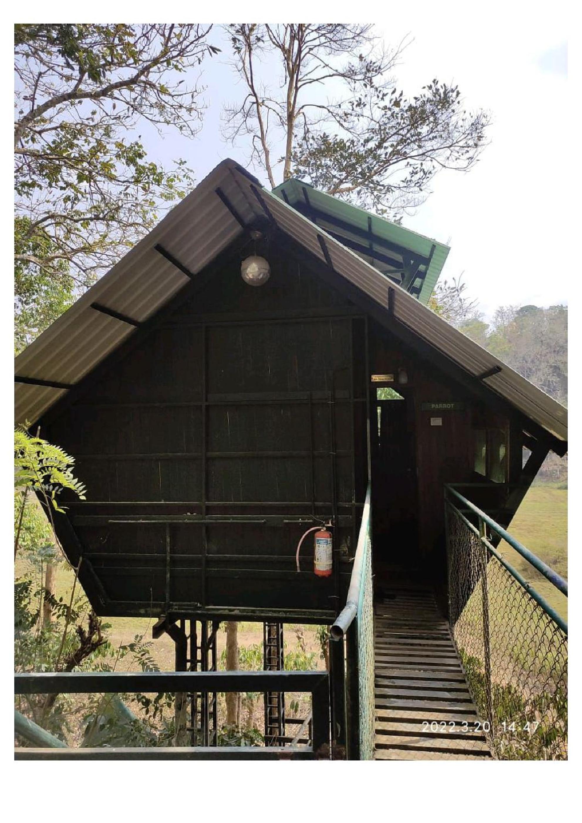 Tree House Wayanad view 4