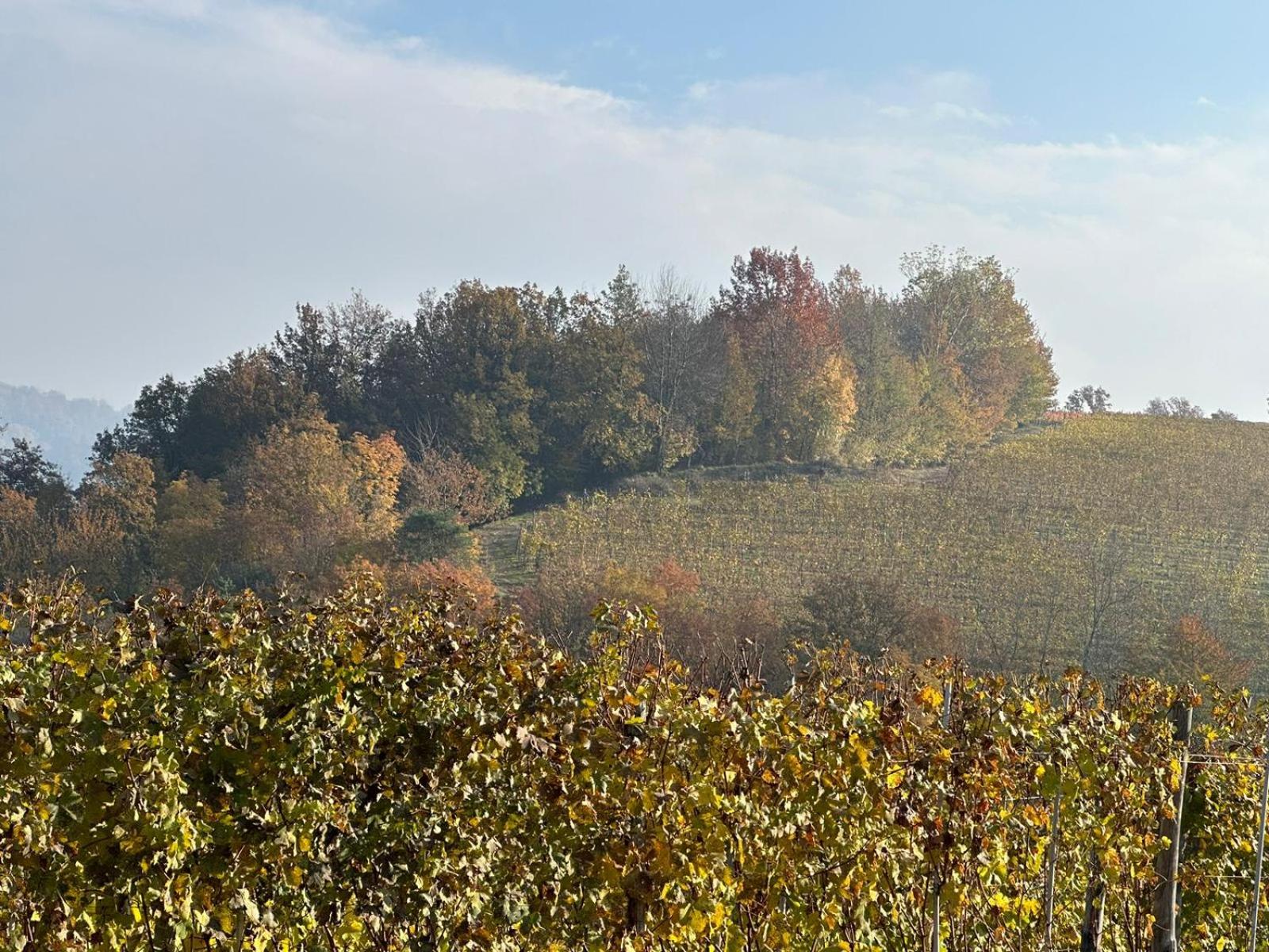 Cascina Boschetti