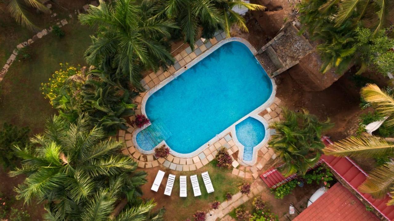 Premium room in a resort view 4