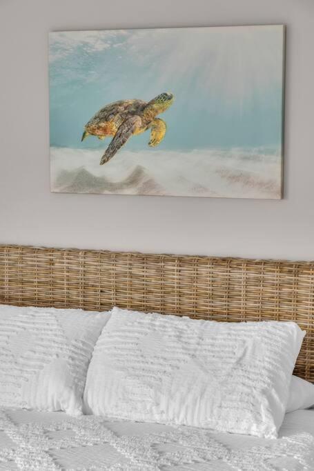 JackEllie Lodge - Pets welcome