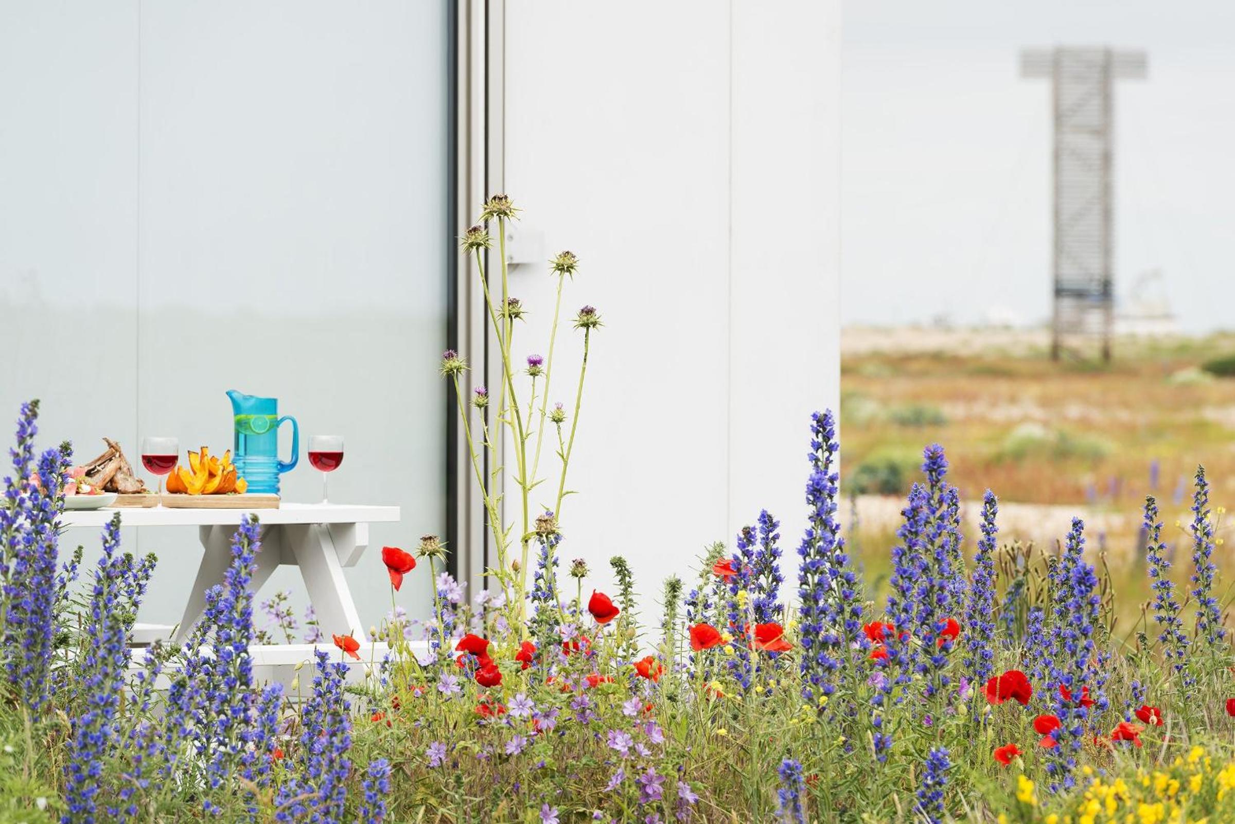 Channel View, Dungeness by Bloom Stays