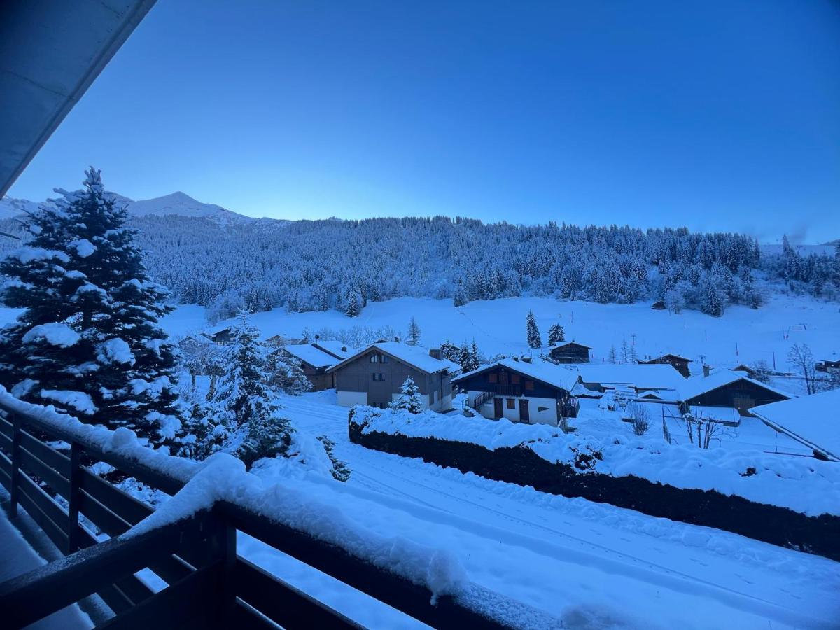 Abricot - Appart dans chalet photo 3