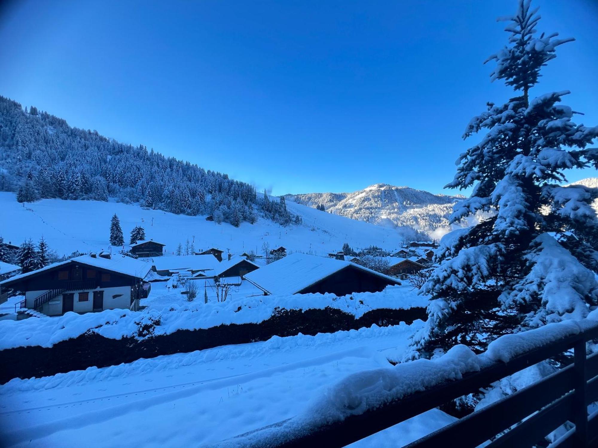 Abricot - Appart dans chalet photo 4