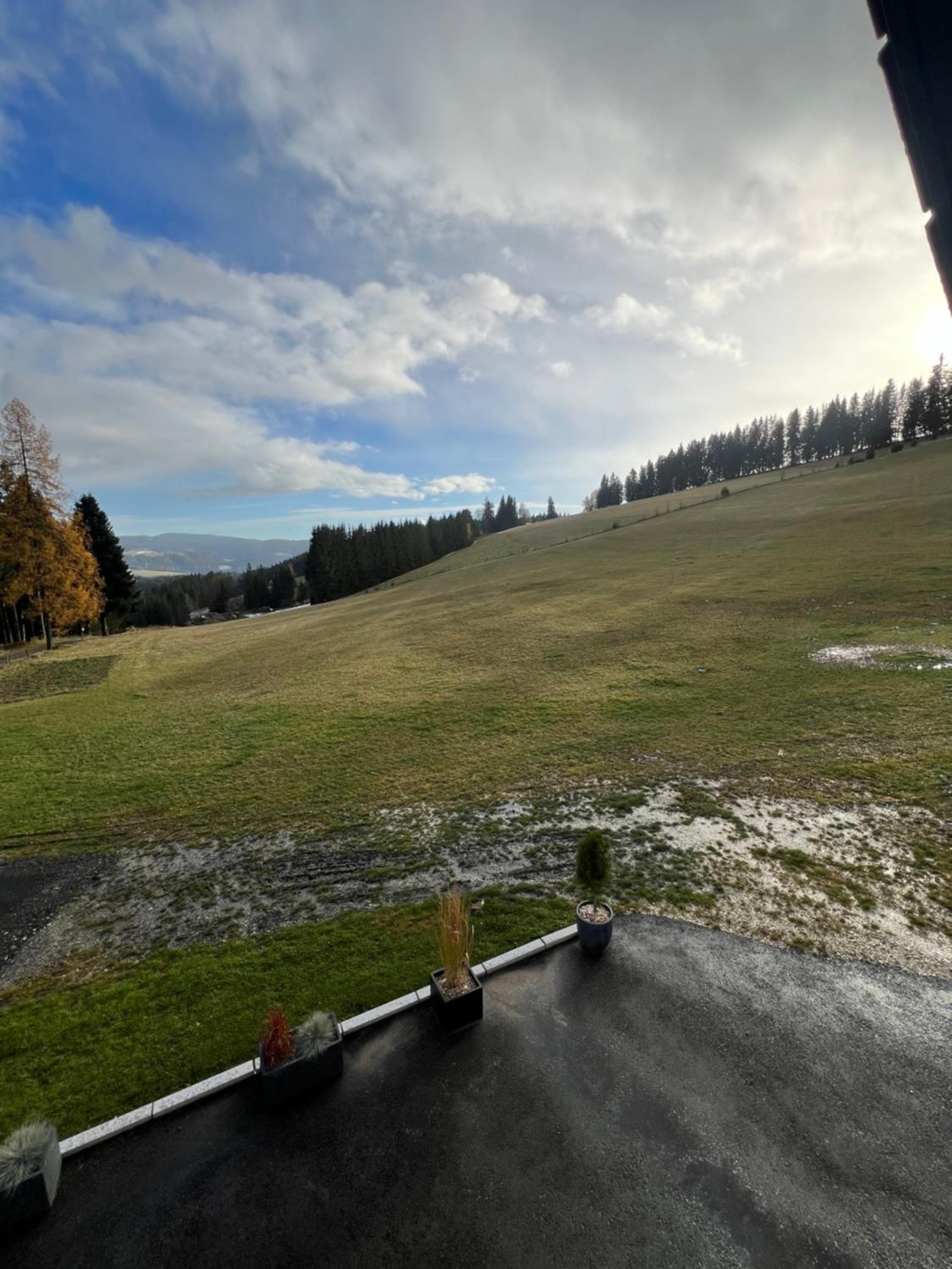 Waldheimatblick
