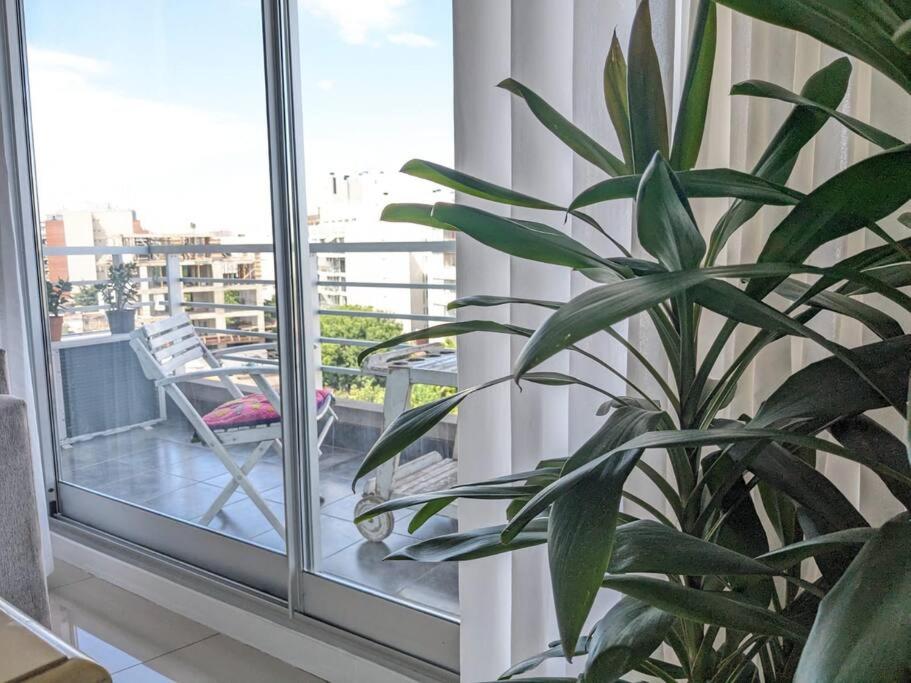 Palermo Vista Espectacular 1bdr by CRE
