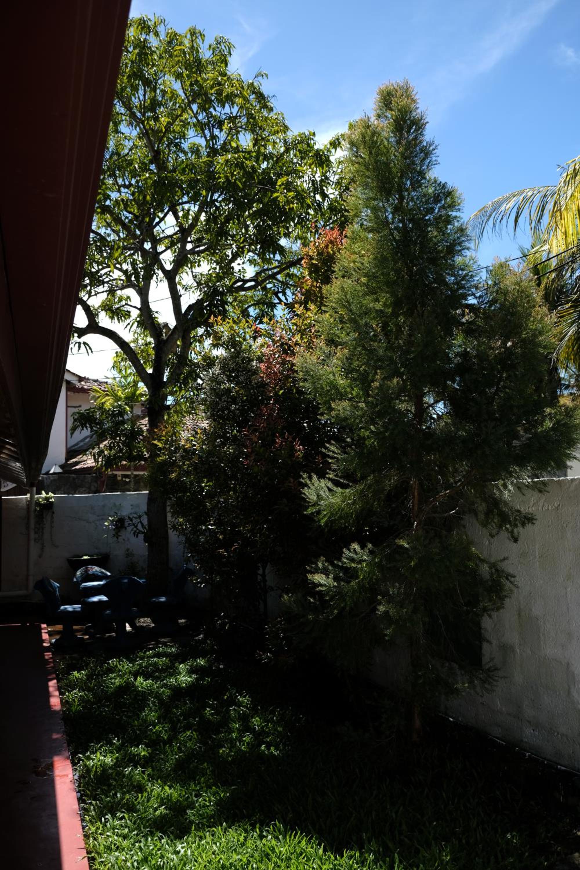 Photo 51