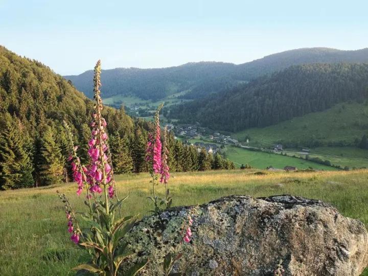 Apartment Schwinbachblick mit 2 Balkonen