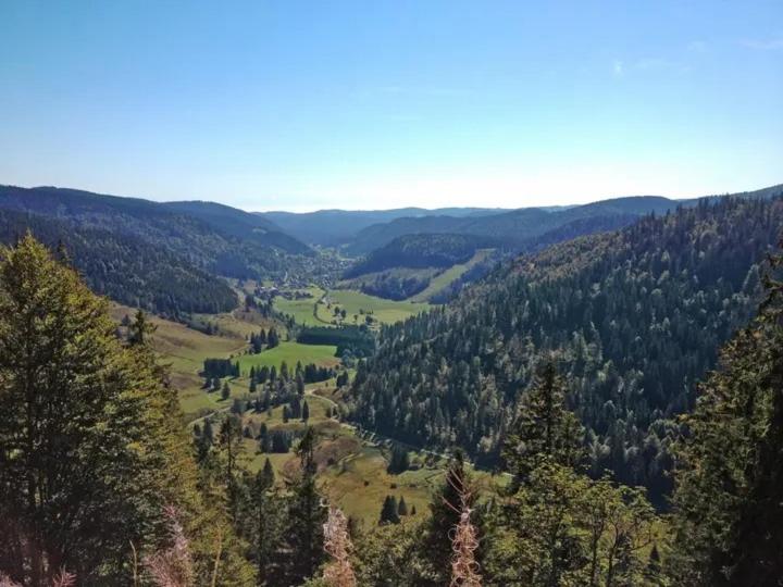 Apartment Schwinbachblick mit 2 Balkonen