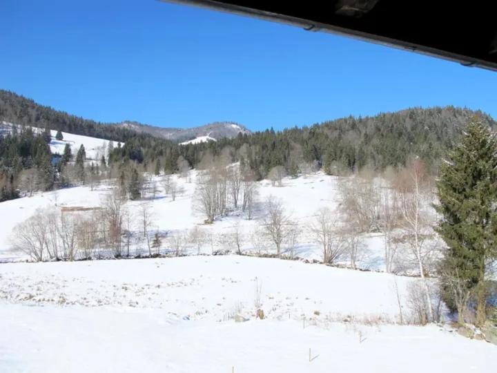 Apartment Schwinbachblick mit 2 Balkonen