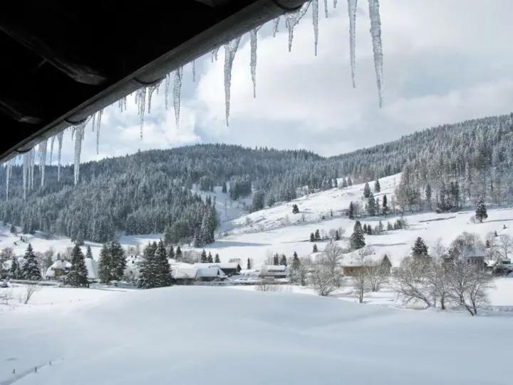 Apartment Schwinbachblick mit 2 Balkonen
