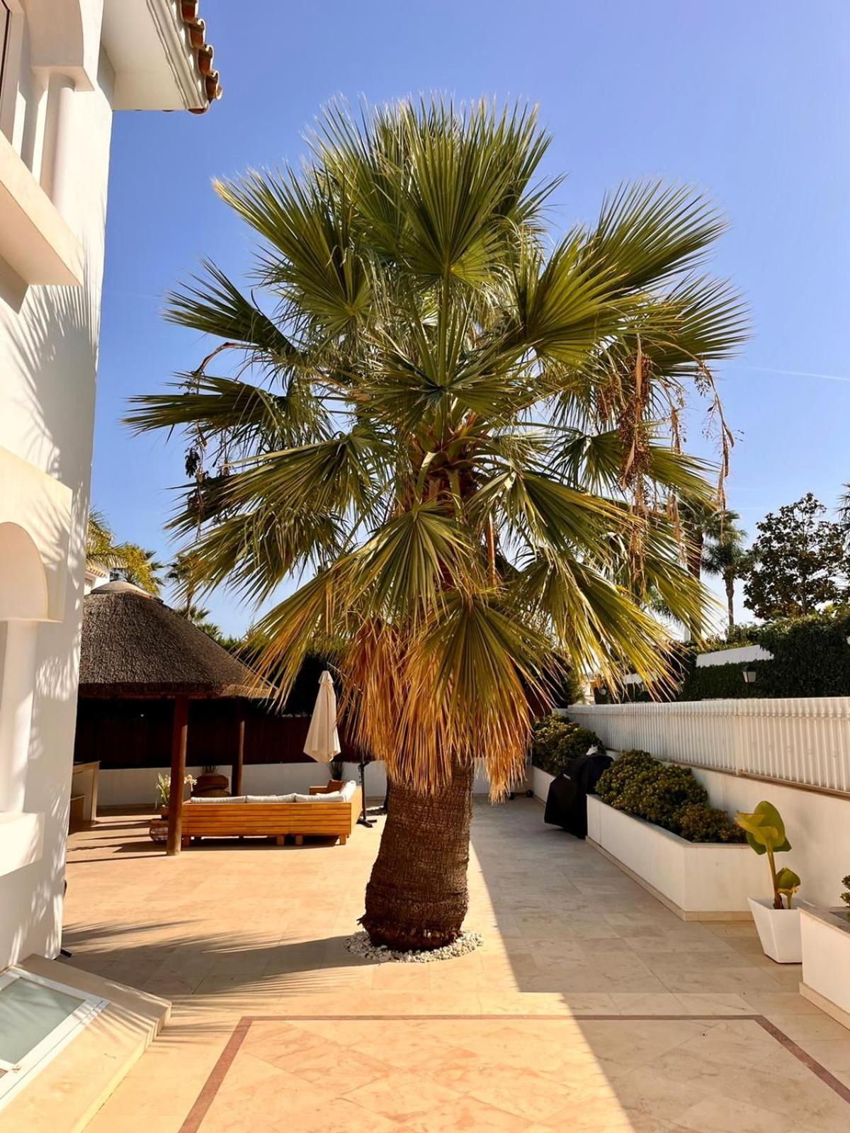 Private Luxurious Villa Walking Distance to Puerto Banus