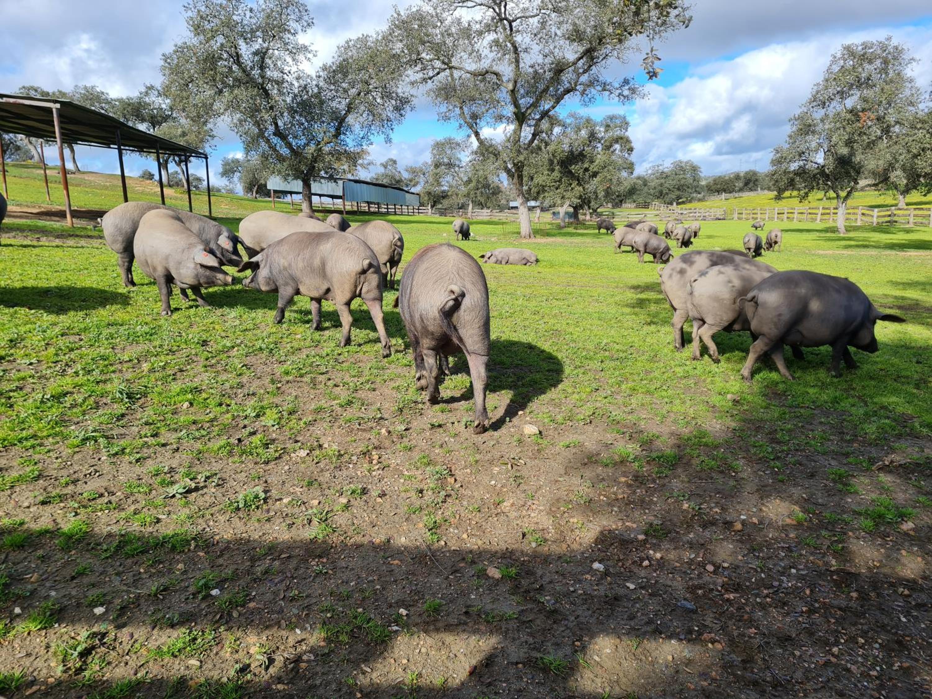 Alojamiento Rural Finca Barral