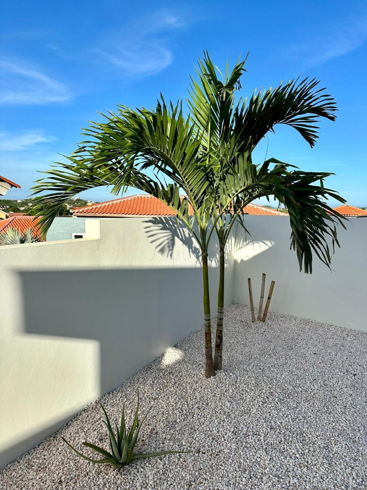Villa Vista Montaña