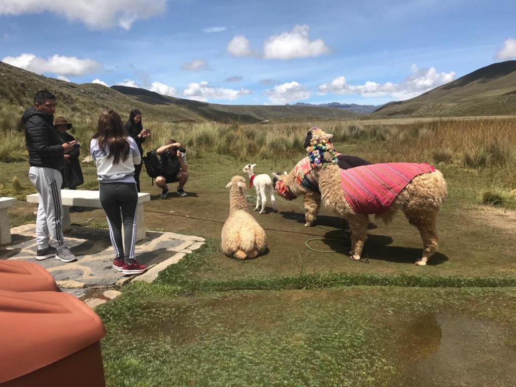 Amazing Huaraz