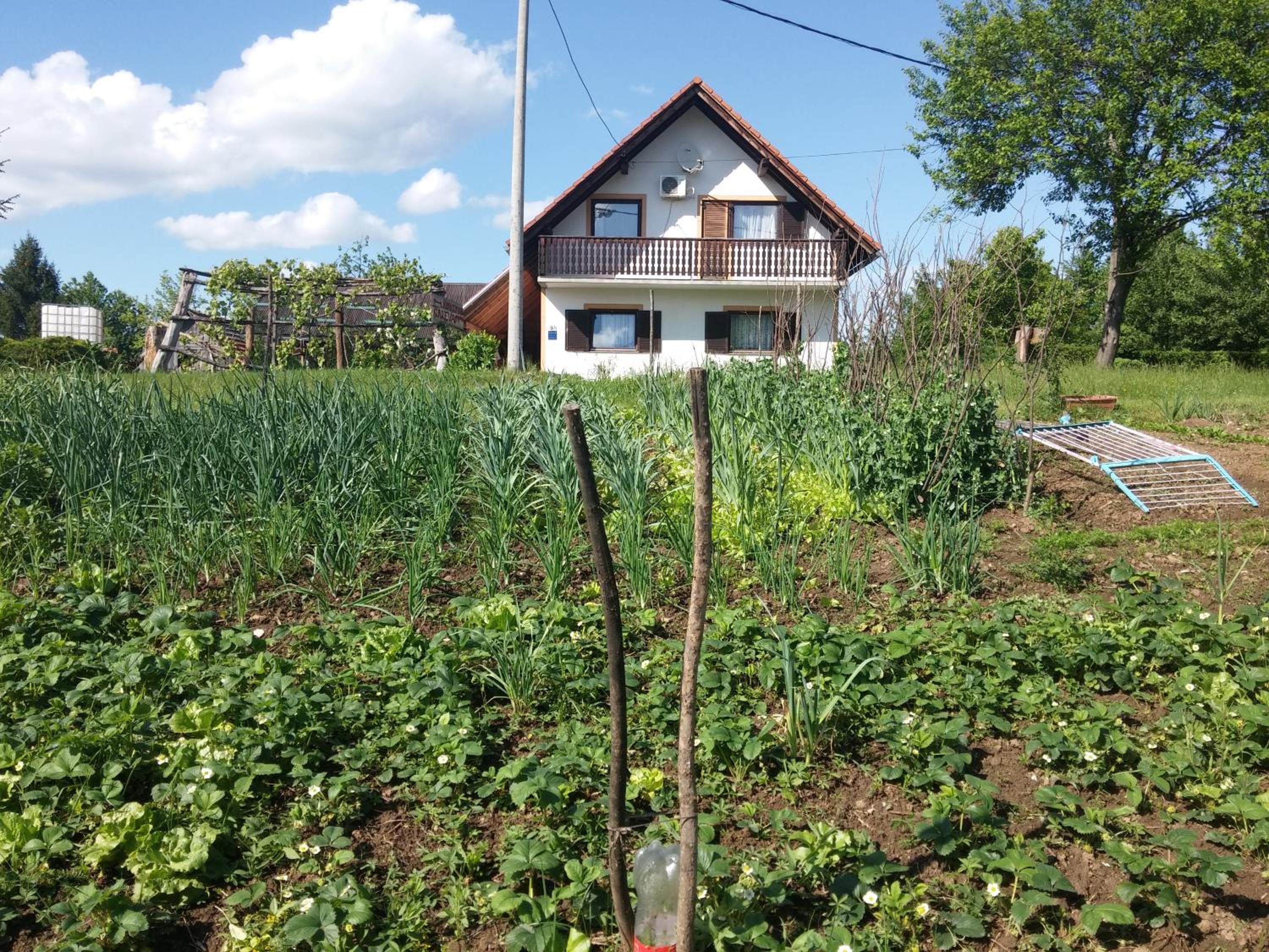 Galeva apartman