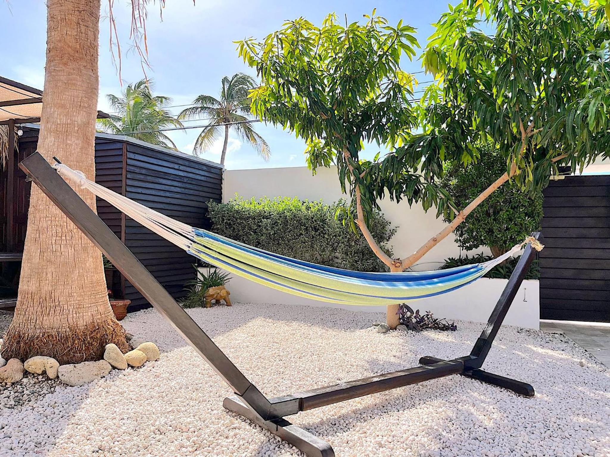 Aruba Lagunita