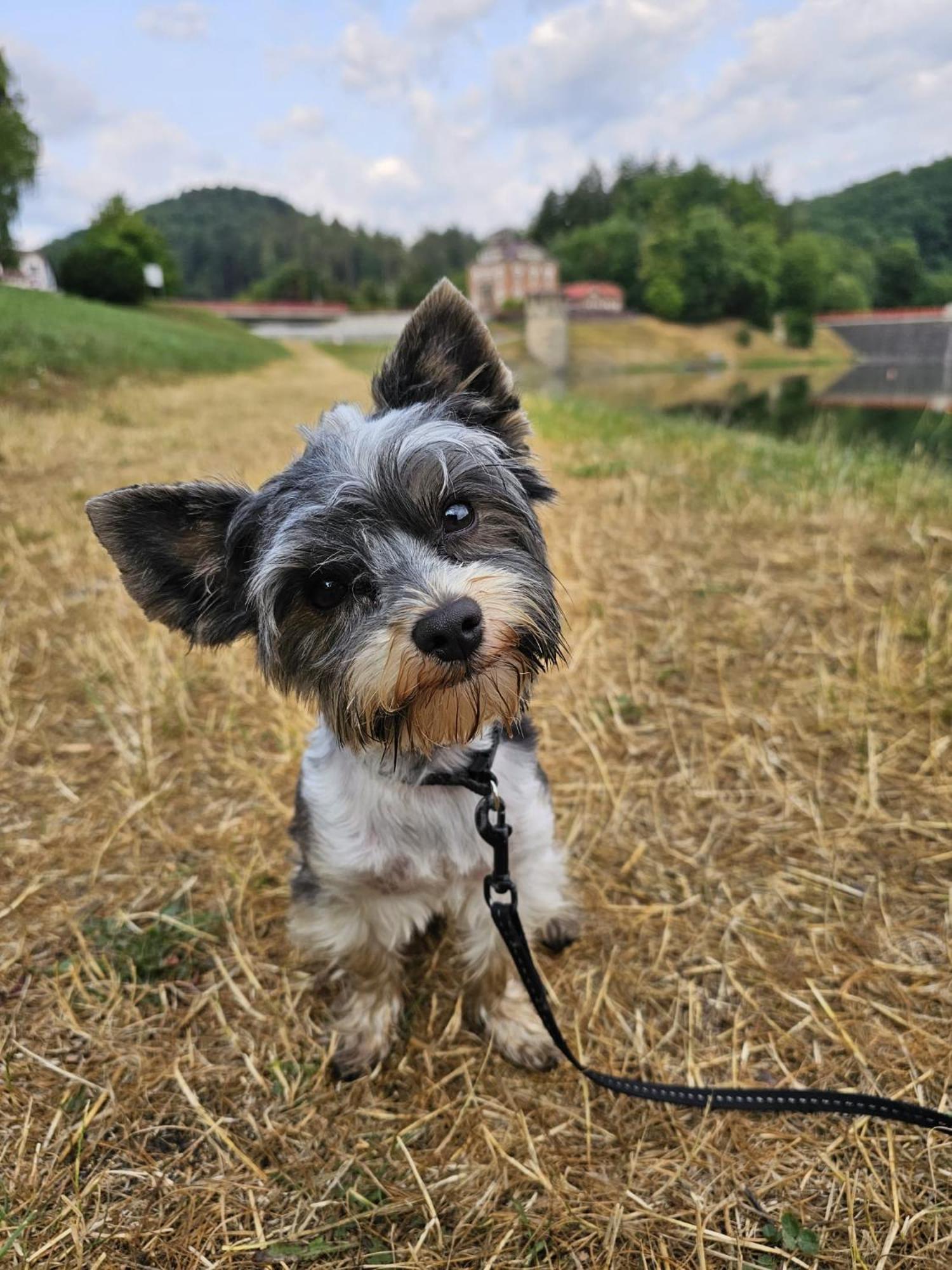 Chata Bystřička