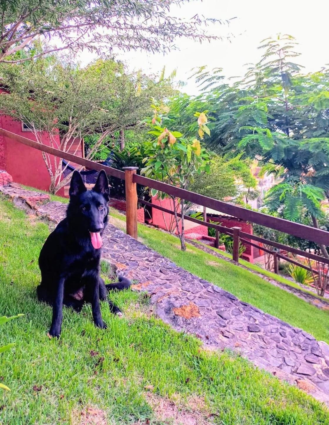 Pousada Pedra Alta view 4