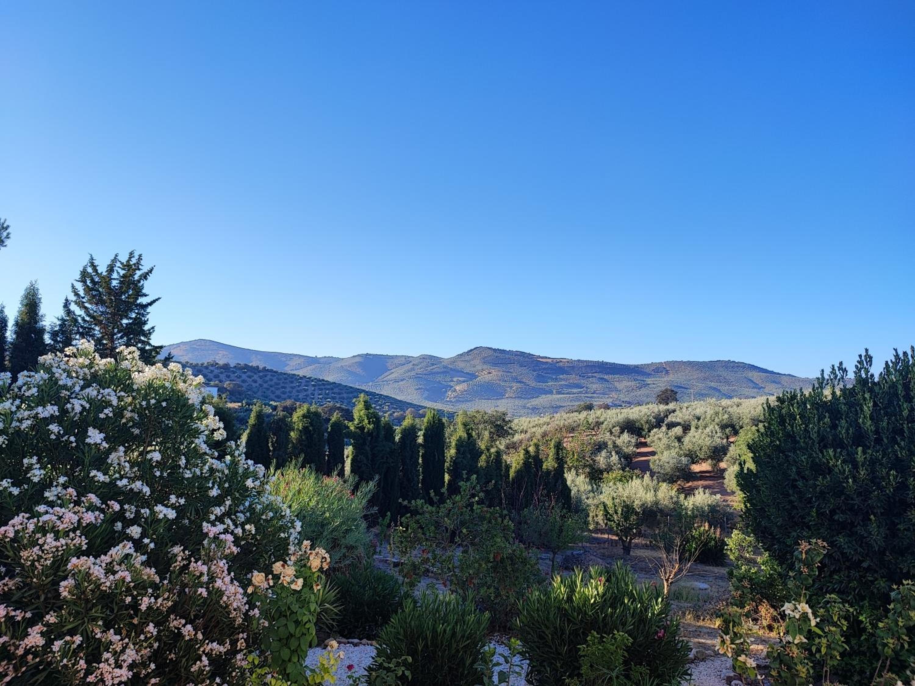 CORTIJO PENNYMARIA Poolside Apartment near Montefrio with stunning views