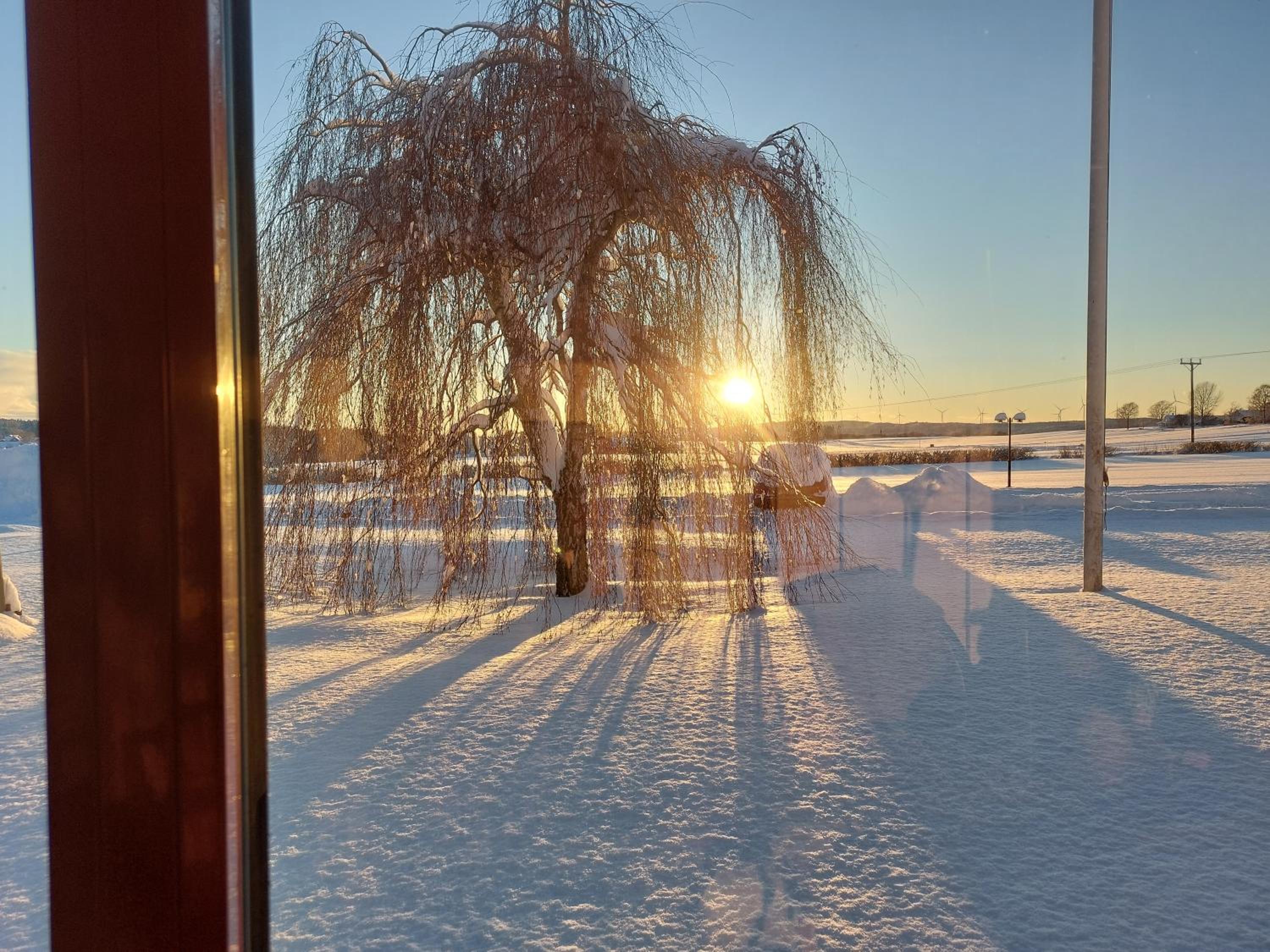 Flora Dekor gästgård