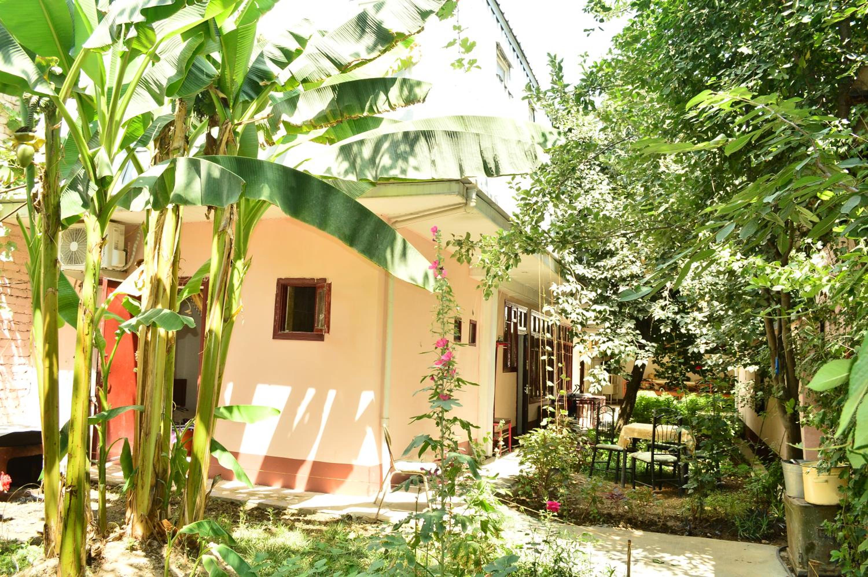 Sayfi Guesthouse