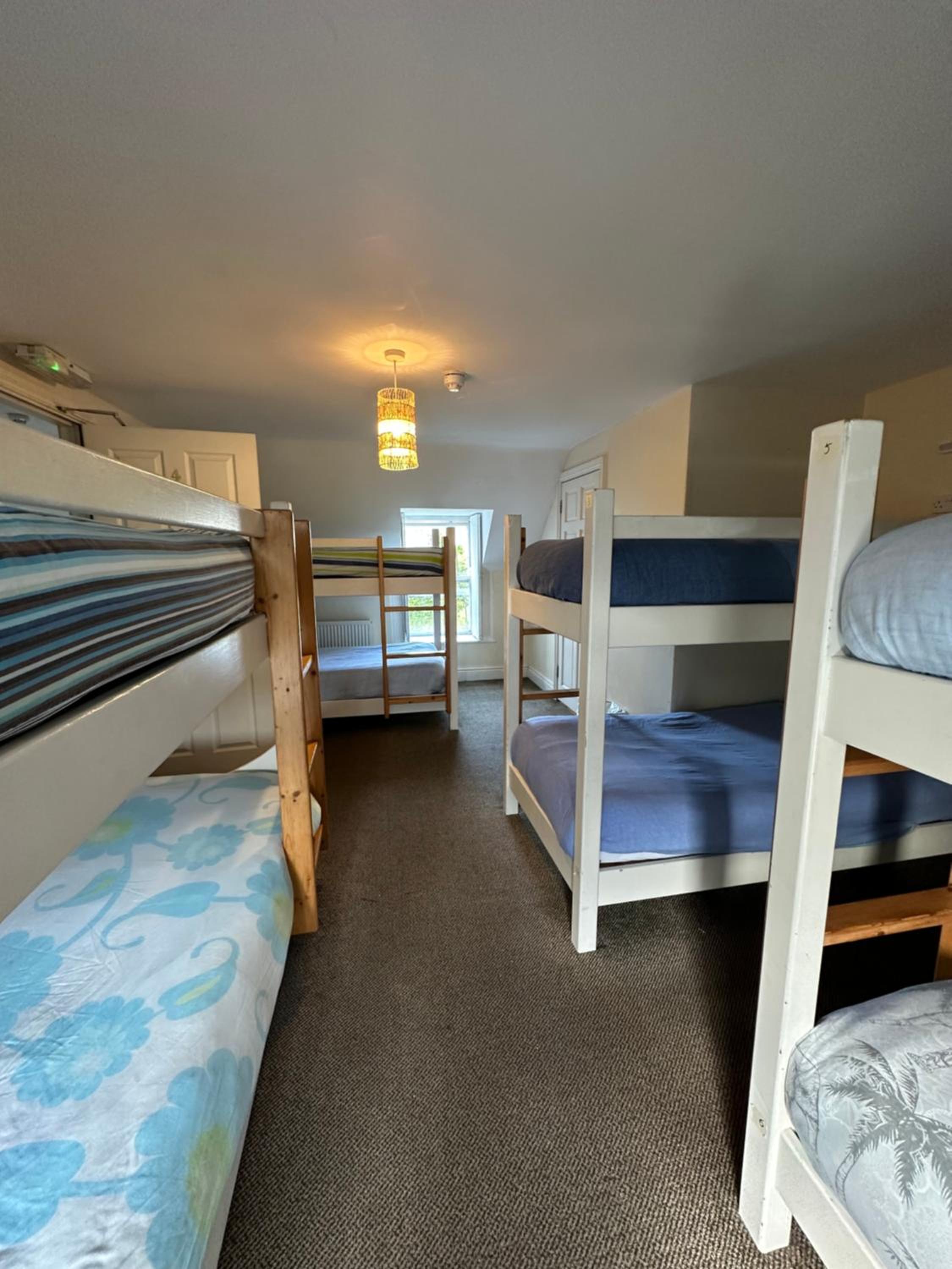 The Grapevine Hostel