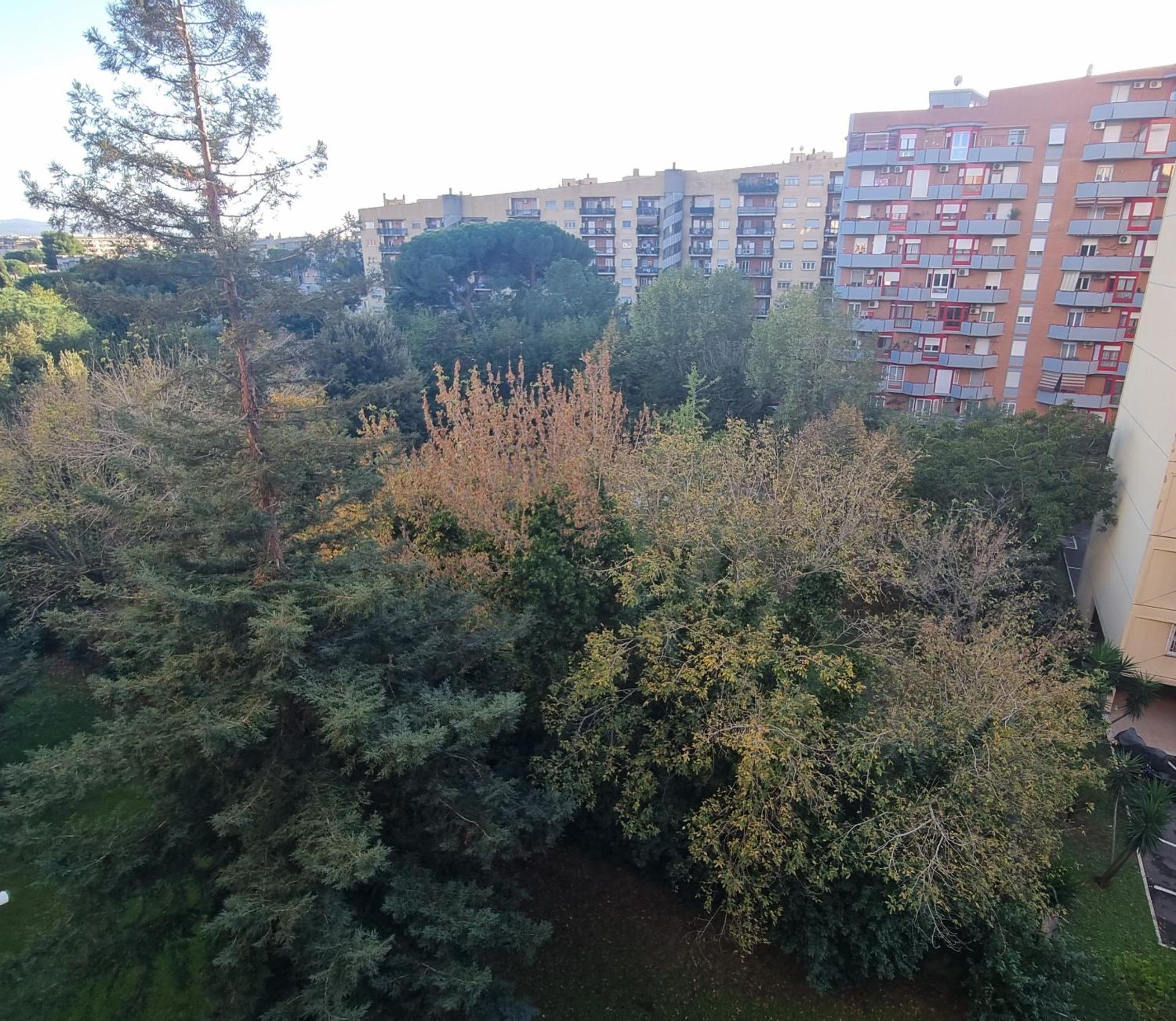 Dreamy Family Getaway Guest House Roma 2BR,2BA