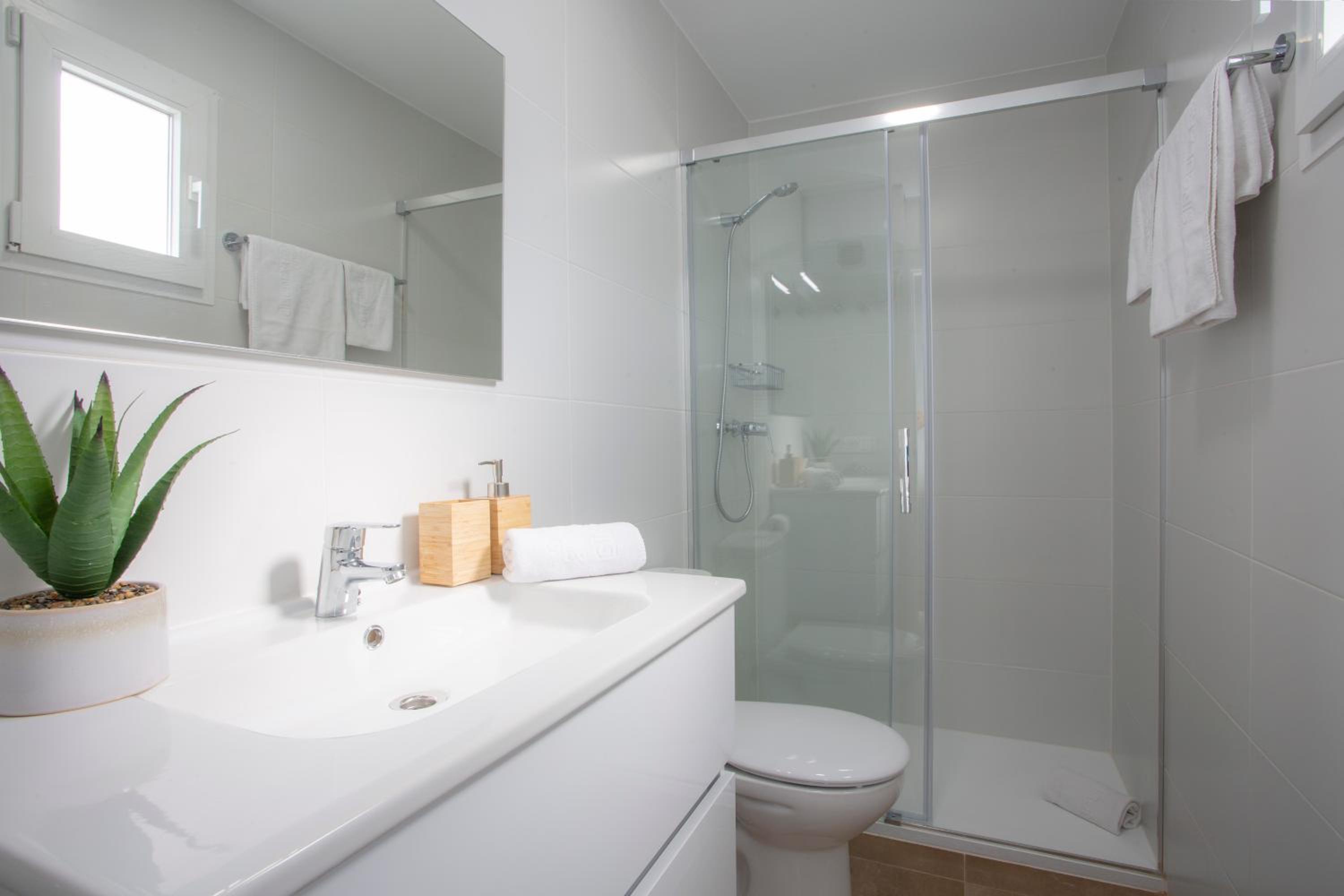 SingularStays Vivons