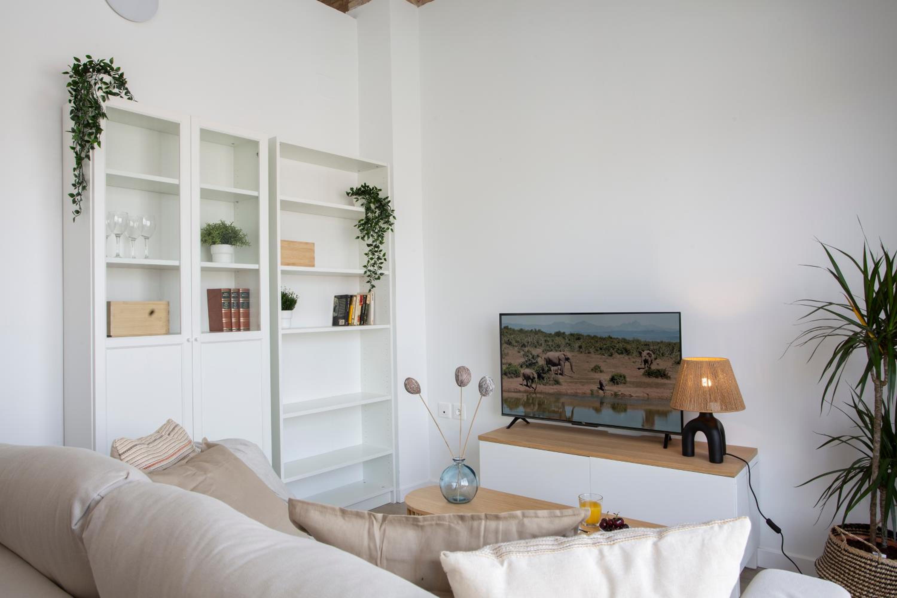 SingularStays Vivons