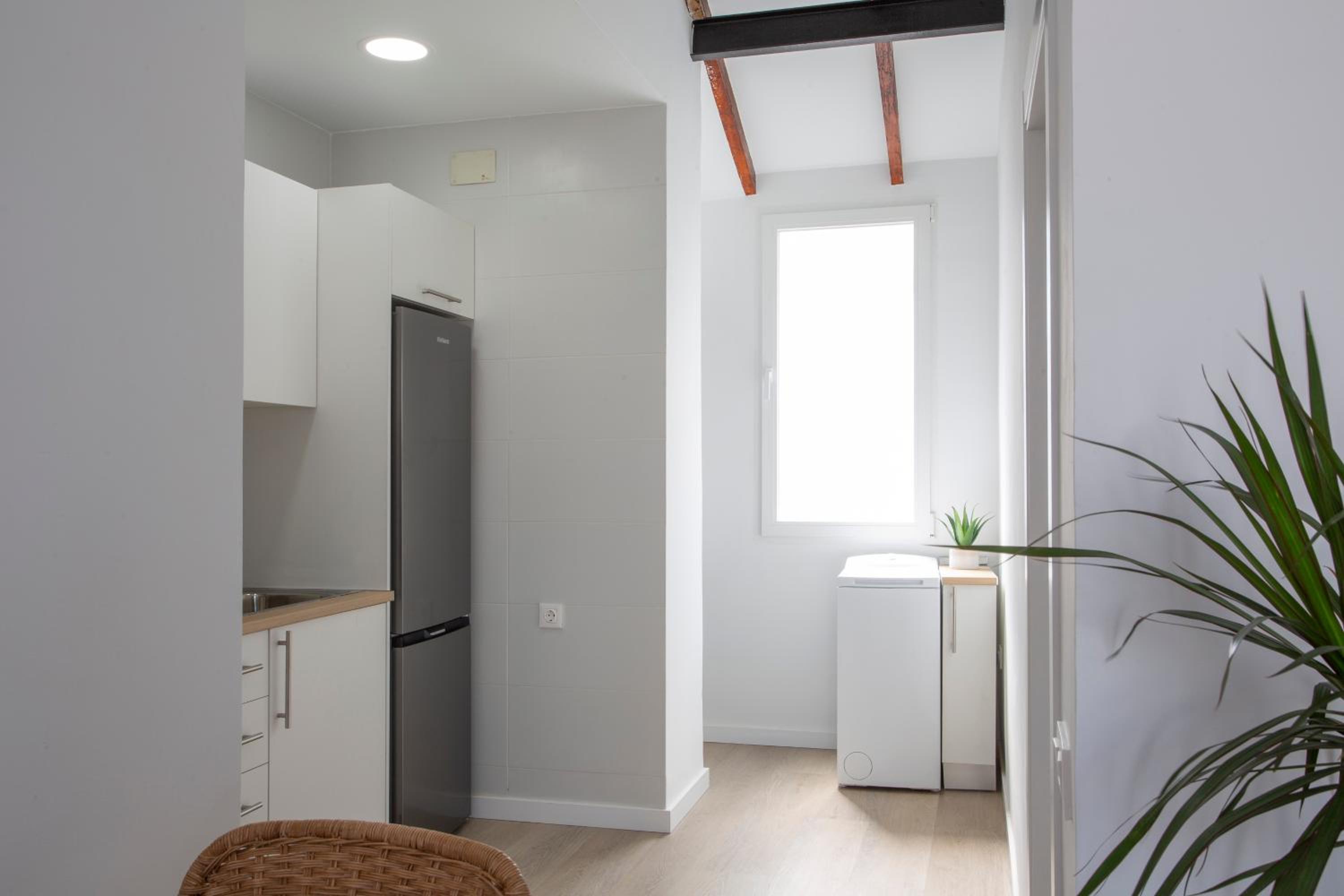 SingularStays Vivons