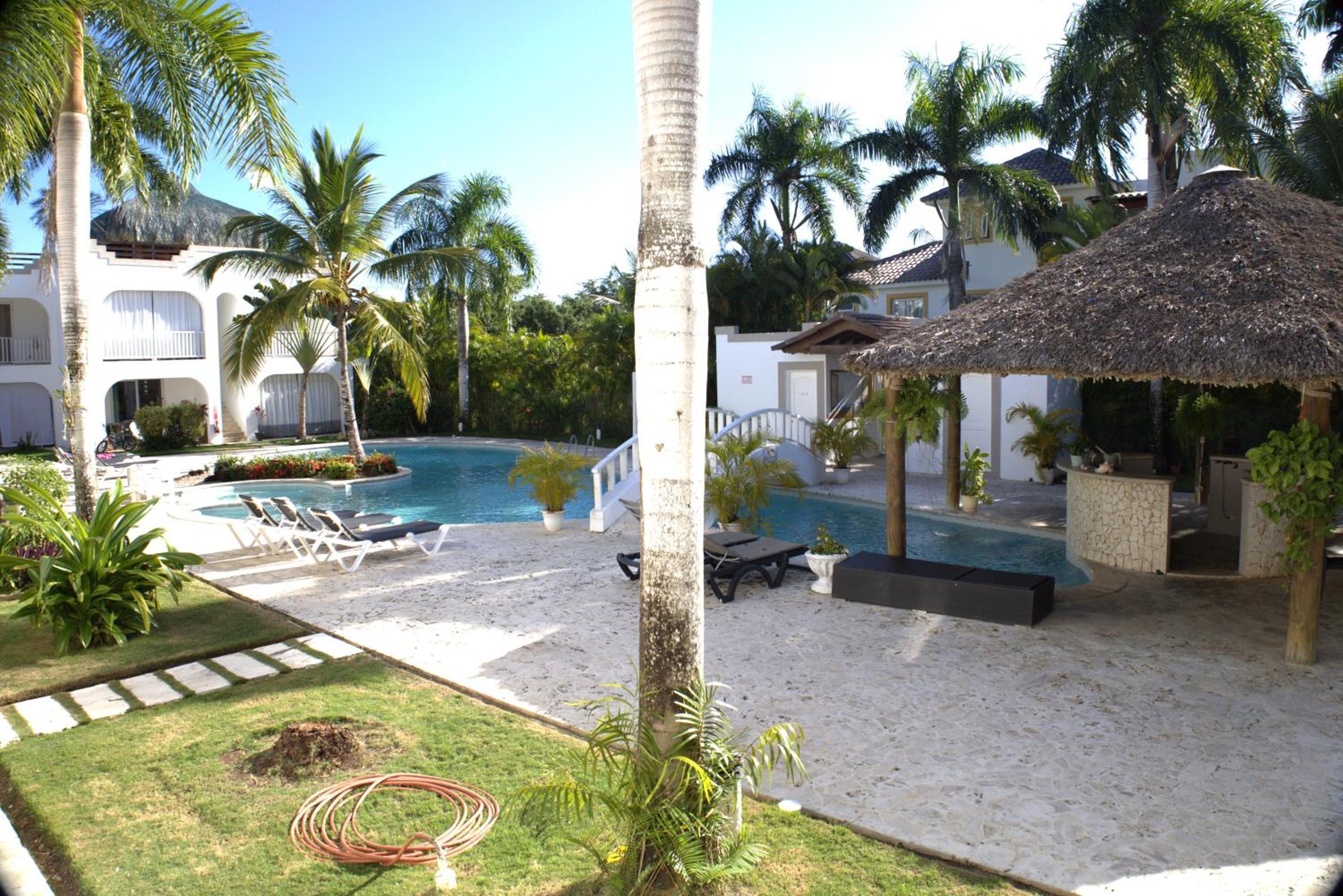 Tamarindo Dominicus by Mireya