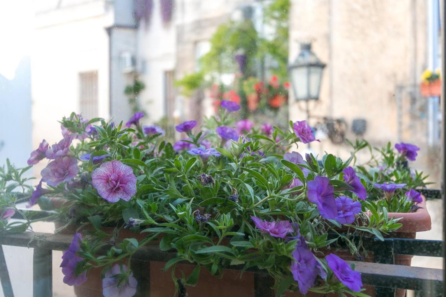 Photo 38