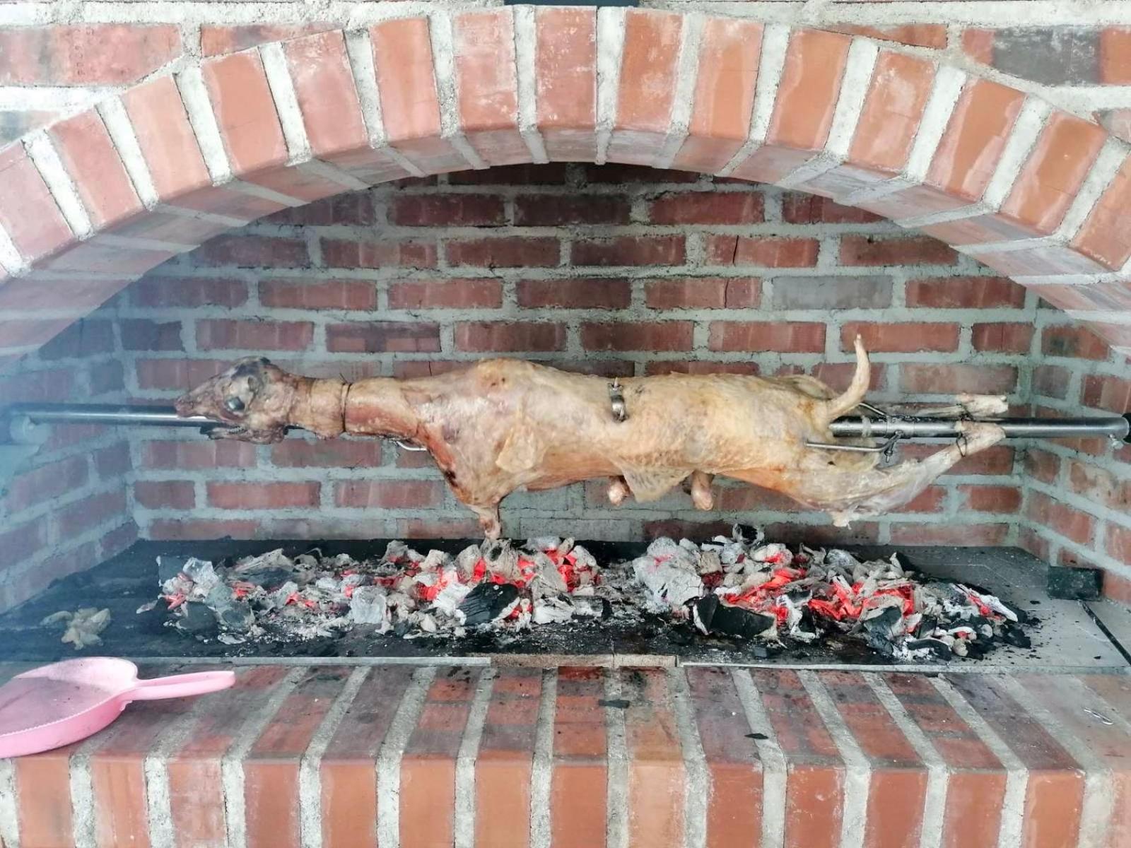 Photo 28