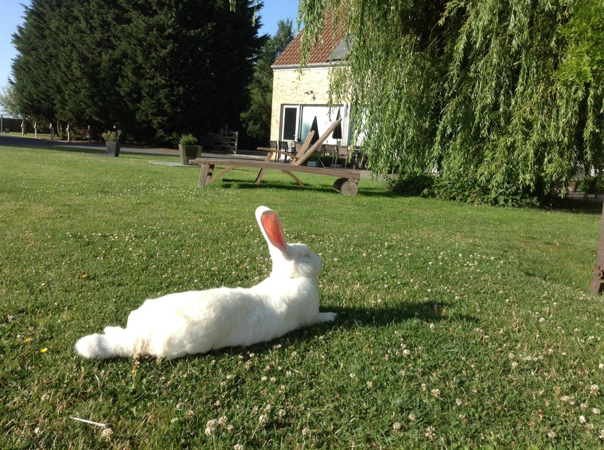 Photo 37