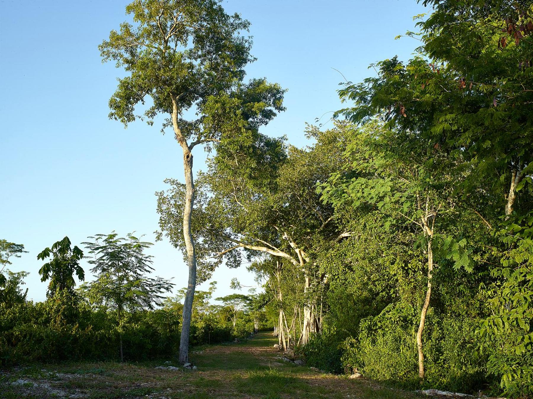 Reserva ecológica Santa Clara
